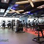 Phòng Tập Gym Gần Nhất Hiện Đang Mở